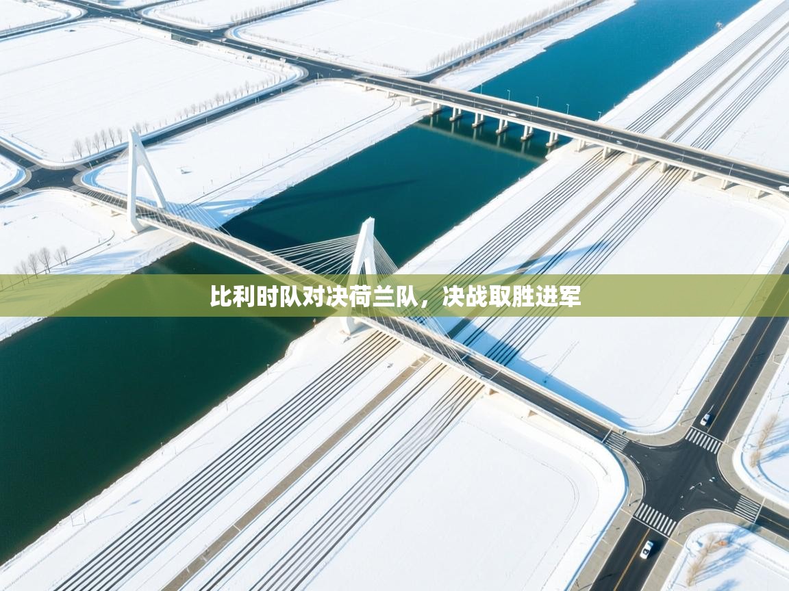 比利时队对决荷兰队,决战取胜进军 第2张