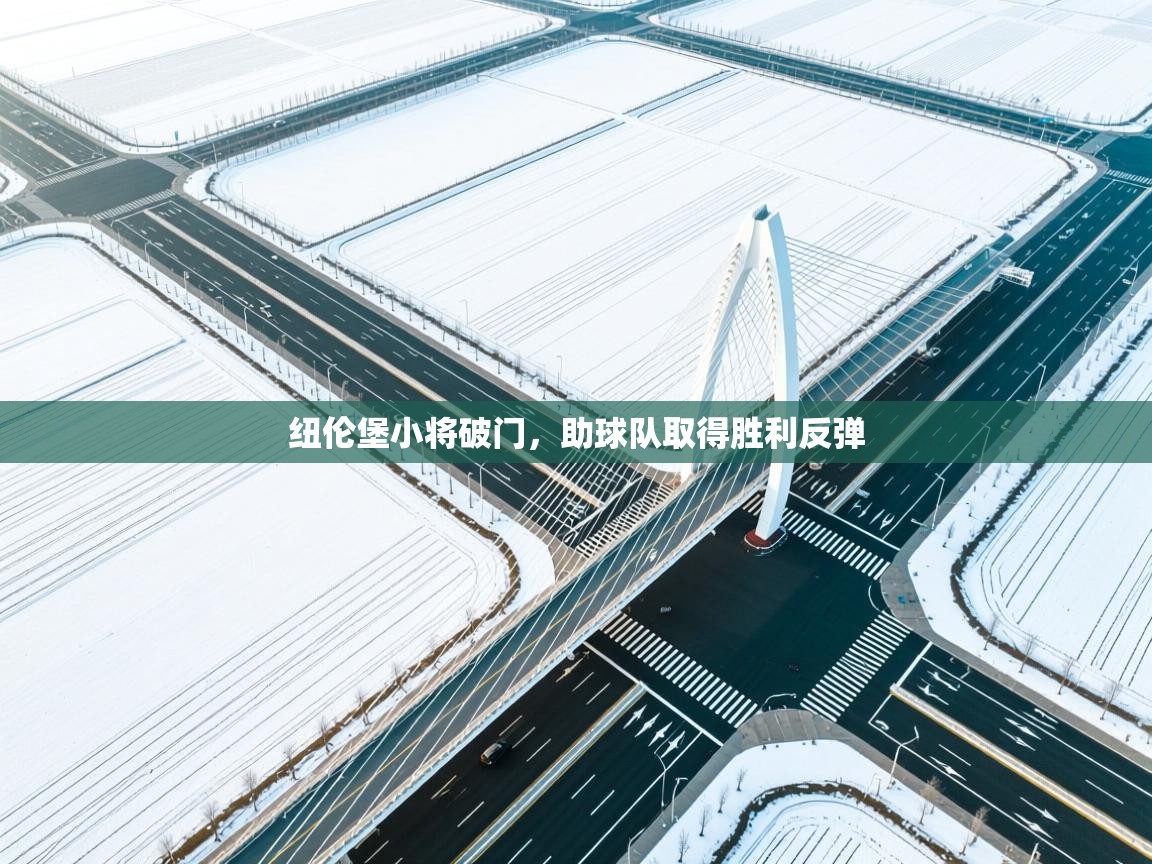 纽伦堡小将破门，助球队取得胜利反弹  第1张