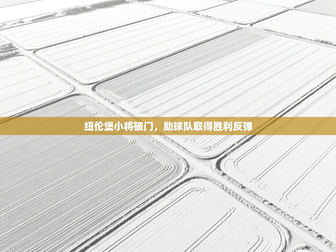 纽伦堡小将破门，助球队取得胜利反弹  第2张