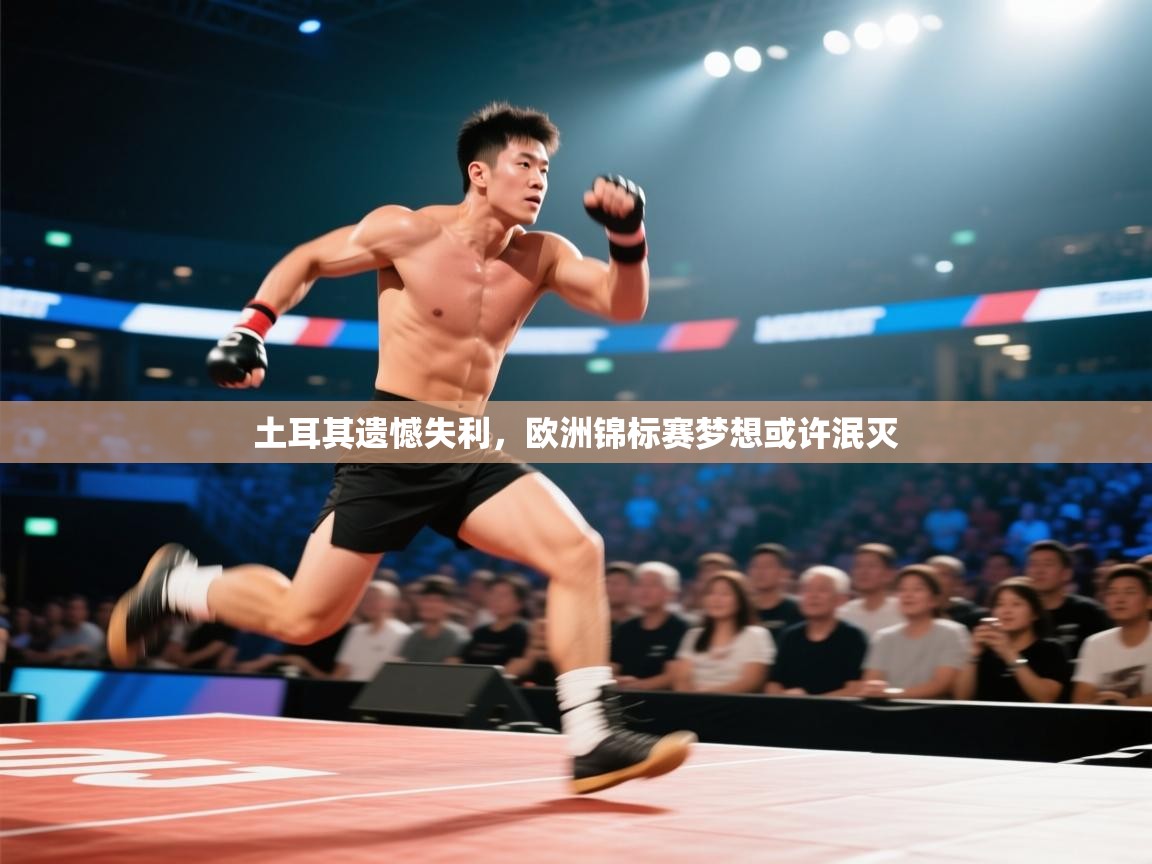 土耳其遗憾失利，欧洲锦标赛梦想或许泯灭  第1张